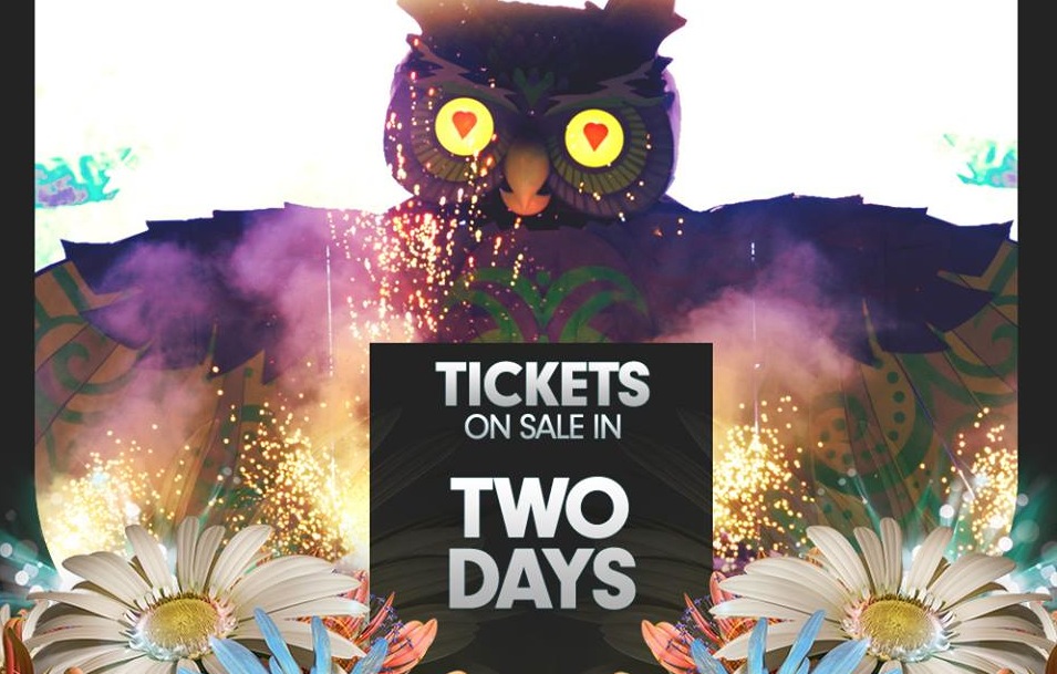 Early Owl Presale Now The Official On Sale Date!