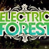 Relive Electric Forest 2014 Through a 5 Part Video Series