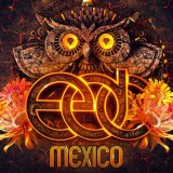 EDC Heads Back to Mexico for a Second Year