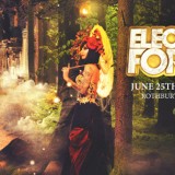 Ticket On Sale Dates Announced for Electric Forest 2015