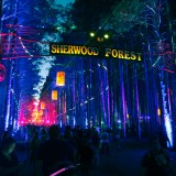 Electric Forest 2015 Preview